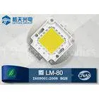 Superior Quality High CRI80 100W COB LEDs for LED High Bay Light
