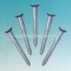 Screw Nail 389830