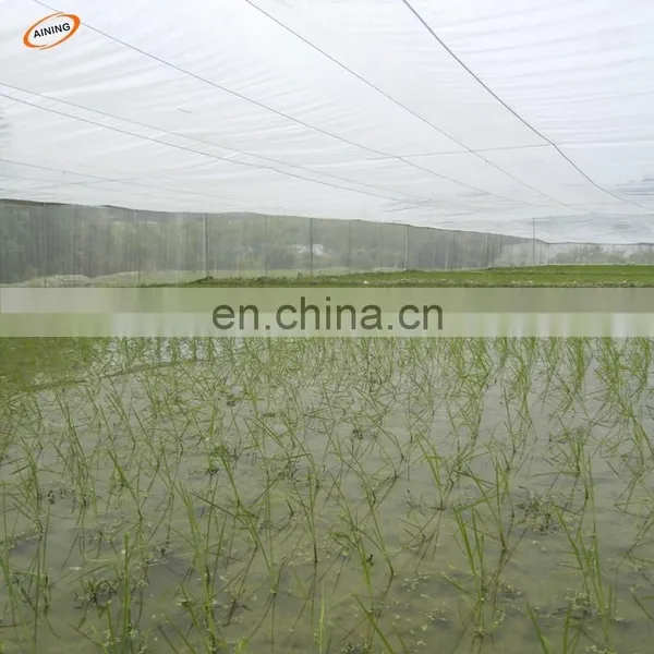 Greenhouse Insect Proof Net/HDPE Plastic Anti Insect Mesh/anti-aphid Net photo-2