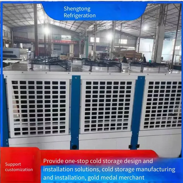 Fruit and Vegetable Fresh-keeping Warehouses, Small and Large Cold Storage Equipment With Low Noise, High Efficiency, Energy-saving and Power-saving photo-4