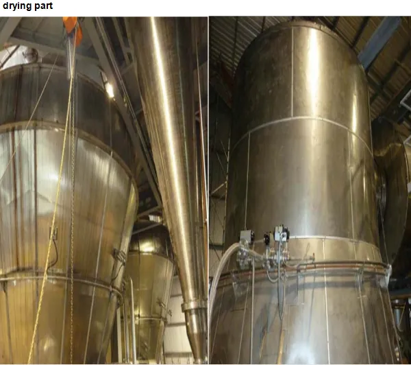 High Efficiency Manufacturers Instant Coffee Powder Production Line photo-5