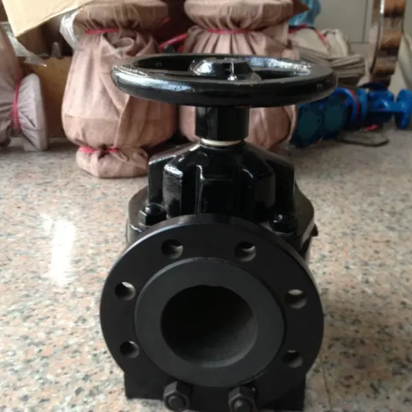 BS ANSI 150lb Cast Iron Ductile Iron Gg25 Ggg50 DN40 DN300 Pn16 PTFE Lined Diaphragm Valve Anti-Corrosion Manual Valve photo-4