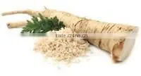 Wasabi Powder High Quality Factory Price photo-6