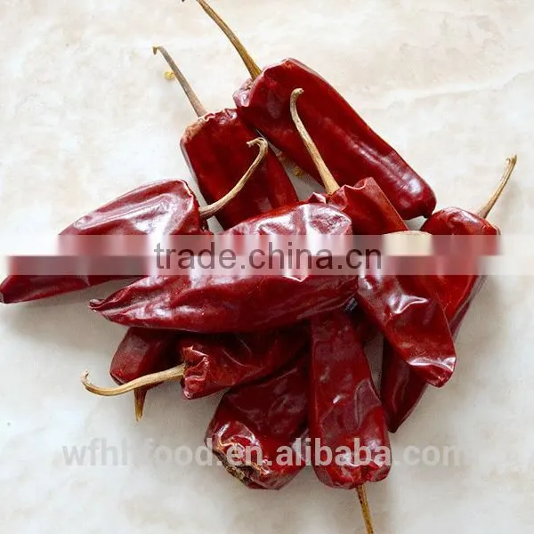 Chili and Chilli Powder for WEIFANG HUAHE Factory photo-4