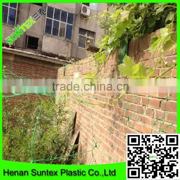 Heavy Duty Long-lasting Flexible Growing Tomatoes Support Net photo-5