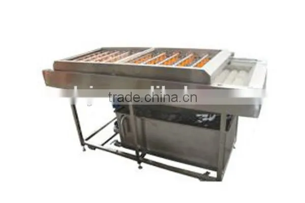 Large Production Capacity For Fuit Washing Mchine In Brush Type photo-3