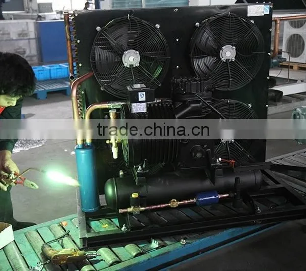 R404a Compressor Copeland Semi Hermetic Condensing Units for Cold Room Fruit Storage photo-5