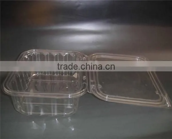 Best Selling Plastic Clear Food Grade Container photo-3