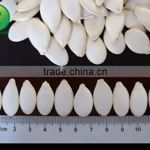 Online Shopping Hong Kong Highly Quality Pumpkin Seed photo-3