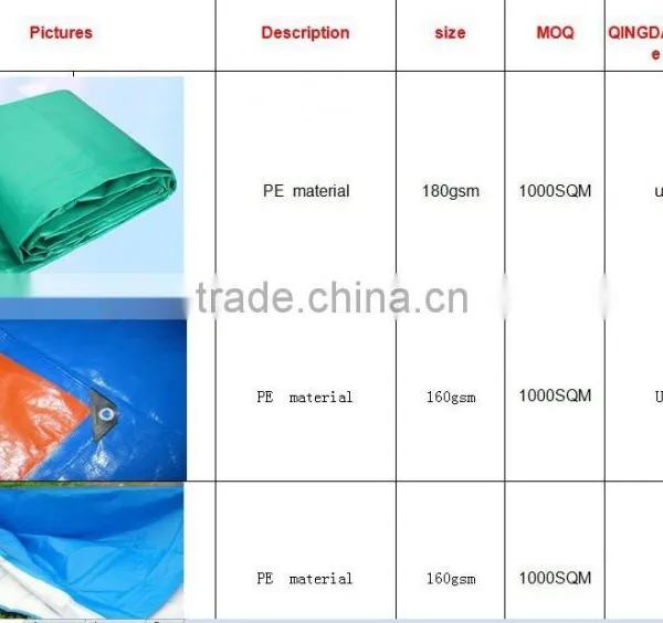 Newest pe Tarpaulins White Waterproof Plastic Tarp photo-6