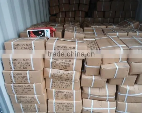 Roofing Nail/common Nail/nail Making Machine photo-2