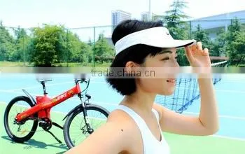 Seagull,Electric Fuel and New Condition Hot Sale Lithium 36v Electric Bike photo-6