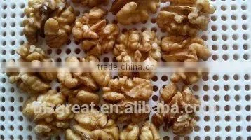 New Crop Best Price Chinese Walnut Kernel Light Halves photo-6
