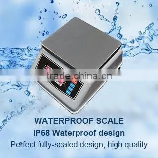Factory Direct Waterproof Body Weighing Scale (model FS) photo-3