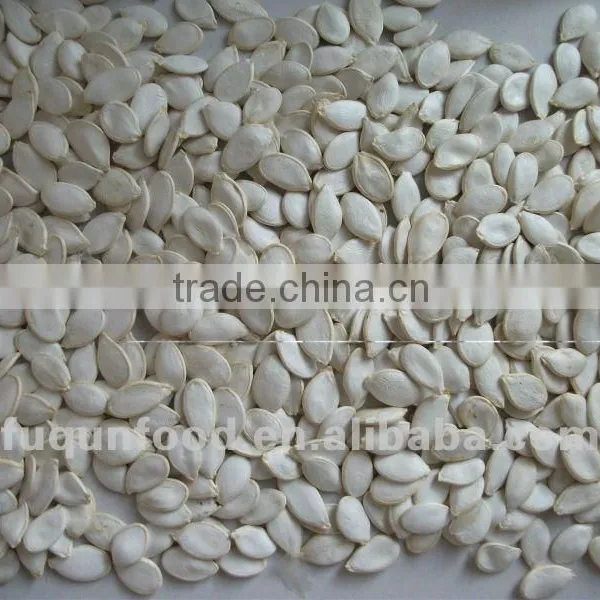 Snow White Pumpkin Seed