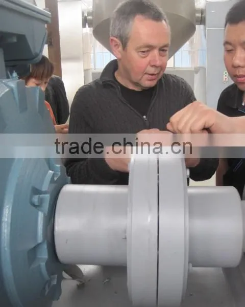 Manganese Sulfate Spin Flash Dryer photo-2