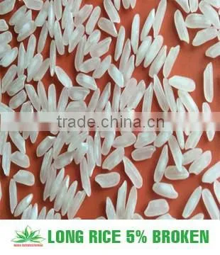 VIETNAMESE JAPONICA RICE - GOOD PRICE photo-5