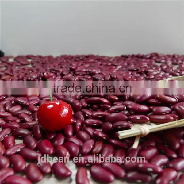 Dark Red Kidney Bean photo-3