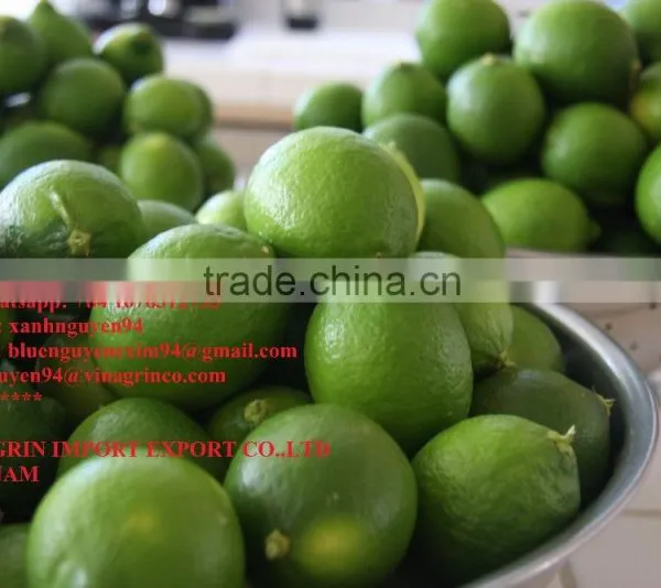 VIETNAM FRESH SEEDLESS LIME photo-2