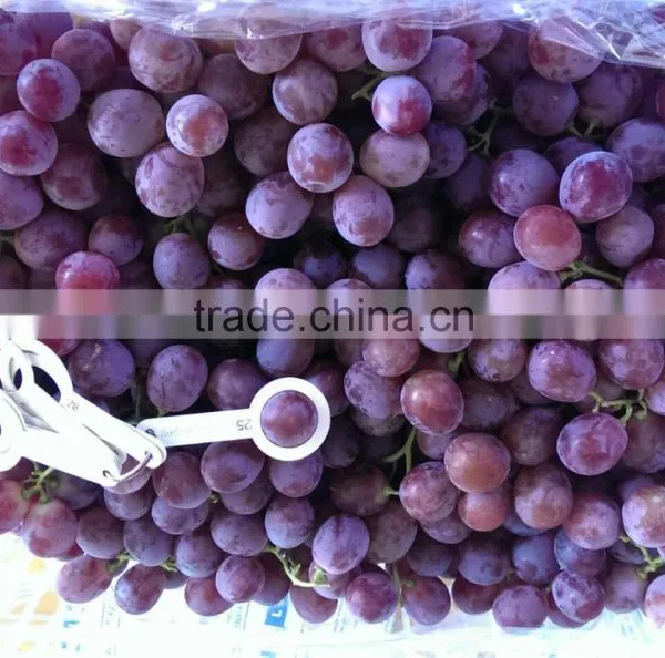 2014 New Crop Red Globe Grapes photo-4