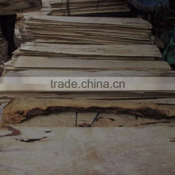 Element Plywood Inner Layer Veneer photo-3