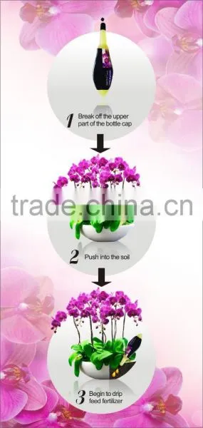 Drip Feed Flowering photo-2