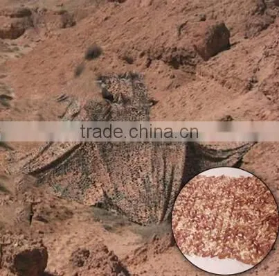 Camouflage Netting / Camo Net Fire Retardant Camo Nets For Hunting, Shooting, Garden Screening photo-4