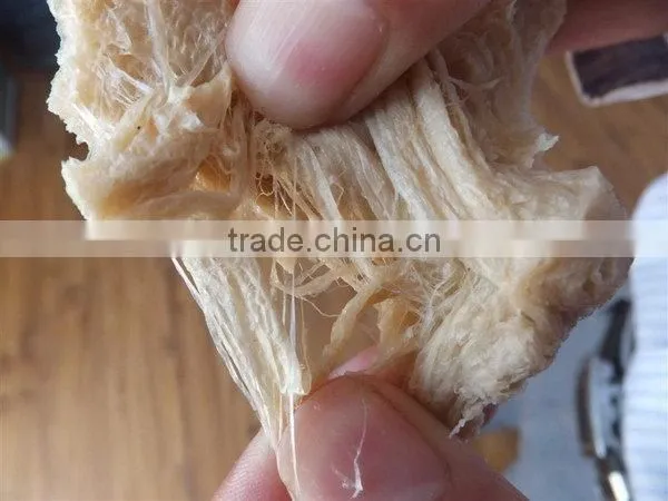 Made in Jinan China Excellent Quality Soya Protein Bar Extruder Machines photo-4