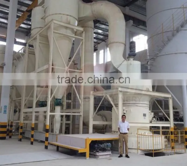 Stone Powder Making Machine, Powder Grinder With Good Price photo-6
