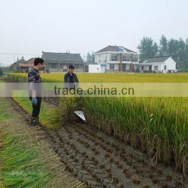 Multifunctional 4GL150 Small Wheat Reaper Head photo-3