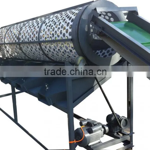 Garlic Separating Peeling Machine Processing Machine Production Line photo-3