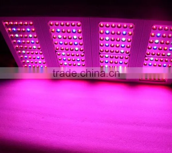 Light Led Grow Light Hydroponic 300w Hydroponic Grow Light Led photo-2