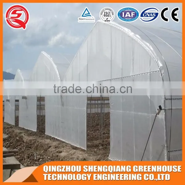 Plastic Film Greenhouse for Vegetables Planting,flowers,culture photo-2