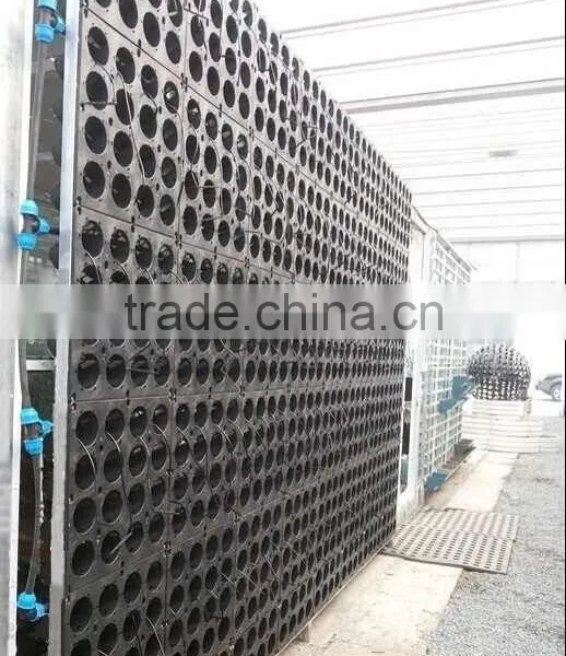 Garden Decoration Hydroponics Equipment Vertical Garden Planter Pot photo-4