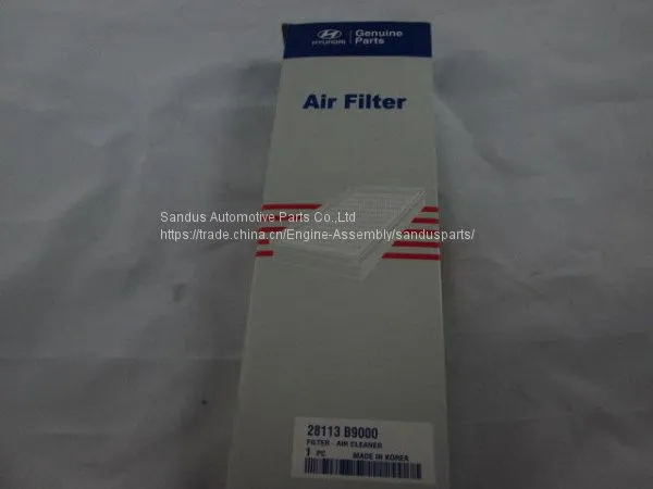 Engine Parts Air Filter for Hyundai 28113 B9000 photo-2