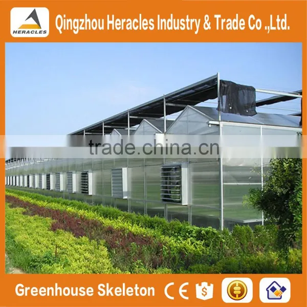 Top Sale Trade Assurance Polycarbonate Agricultural Greenhouse From China Supplier photo-4