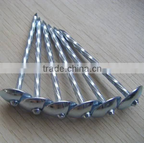 Galvanized Corrugated Roofing Nails From Guangzhou Supplier photo-4