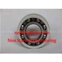 6022/C3VL0241 Insulated Bearing
