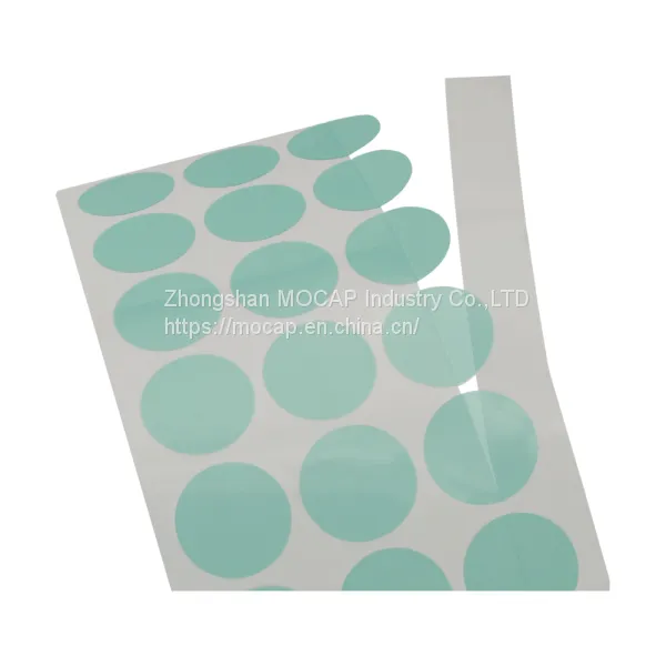 Polyester Discs Adhesive Tape for Masking photo-4