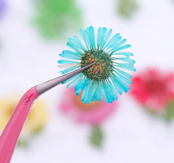 Daisy Camellia Dry Flower Dried Flower Acrylic Nails Nail Decorations Sticker Leaf photo-2