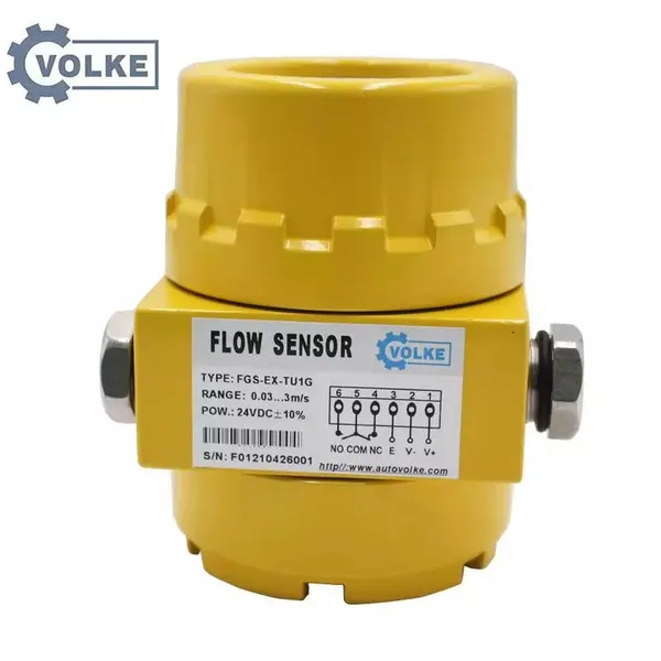 Factory Price Water Flow Switch Thermal Flow Switch photo-2