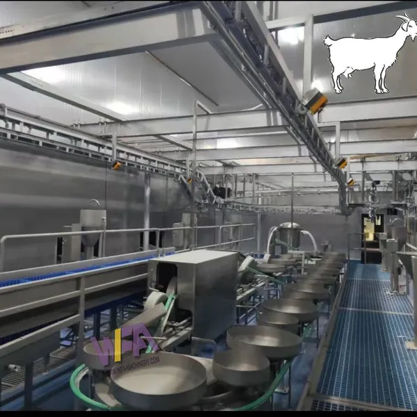 Halal Livestock Goat Slaughterhouse Line Machines for Sheep Meat Processing Plants photo-5