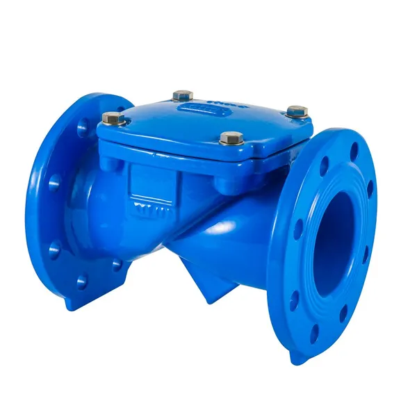 Flexible Rubber Flap Check Valve for Water and Wastewater Systems, DN50-DN2000, EPDM Material photo-2