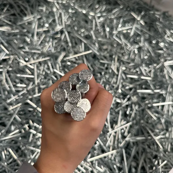 Hot Dipped Galvanized Wire Nails - ASTM A153 Compliant for Outdoor Use photo-4