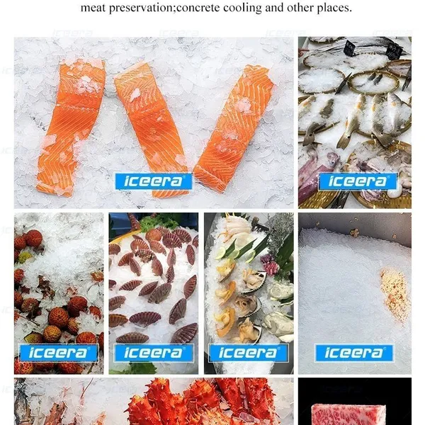 Food Grade Flake Ice Equipment 1500kg/D for Aquatic Processing Factory photo-5