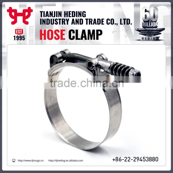 Chinese First Brand HEDING T Type Hose Clip photo-2