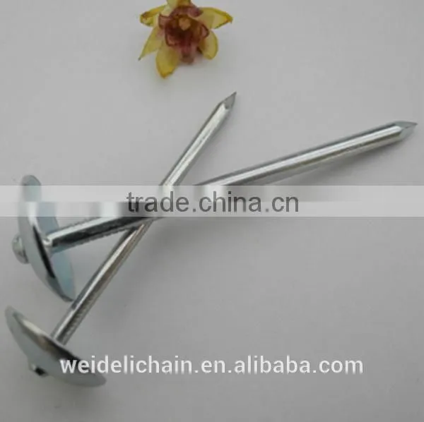Galvanized Roofing Nails/ Umbrella Roofing Nails photo-2