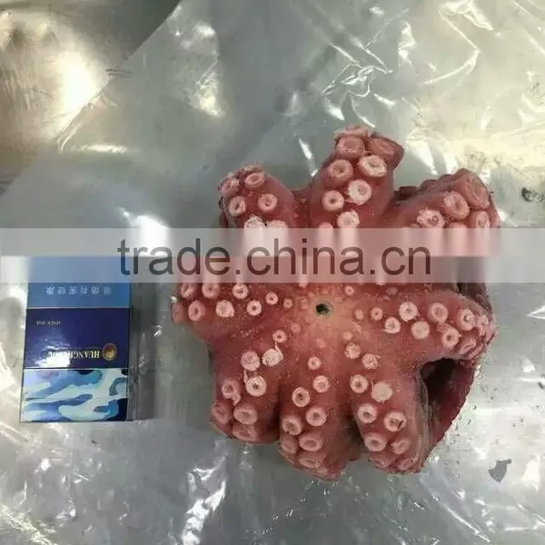 2016 Frozen Baby Octopus 20-60g/pcs for Sale photo-4