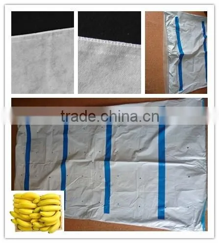 UV Resistant Banana Tree Bag photo-4