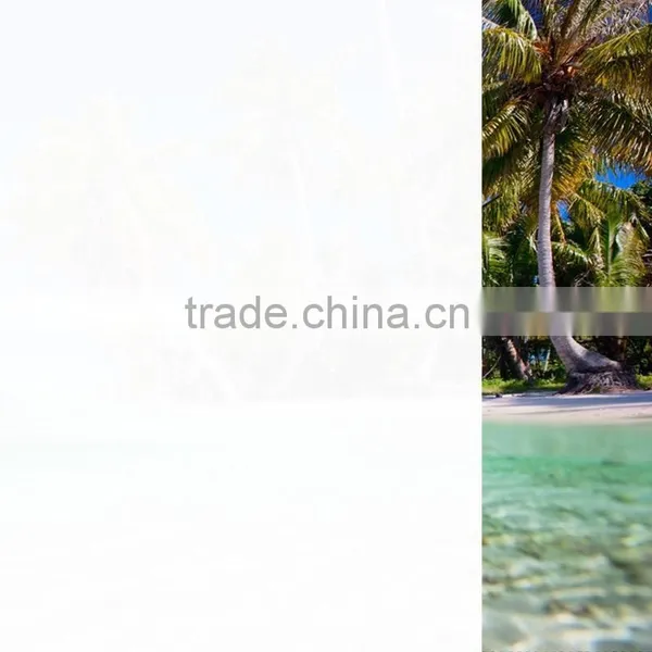 Static Window Film,removable Static Cling Window Film photo-5